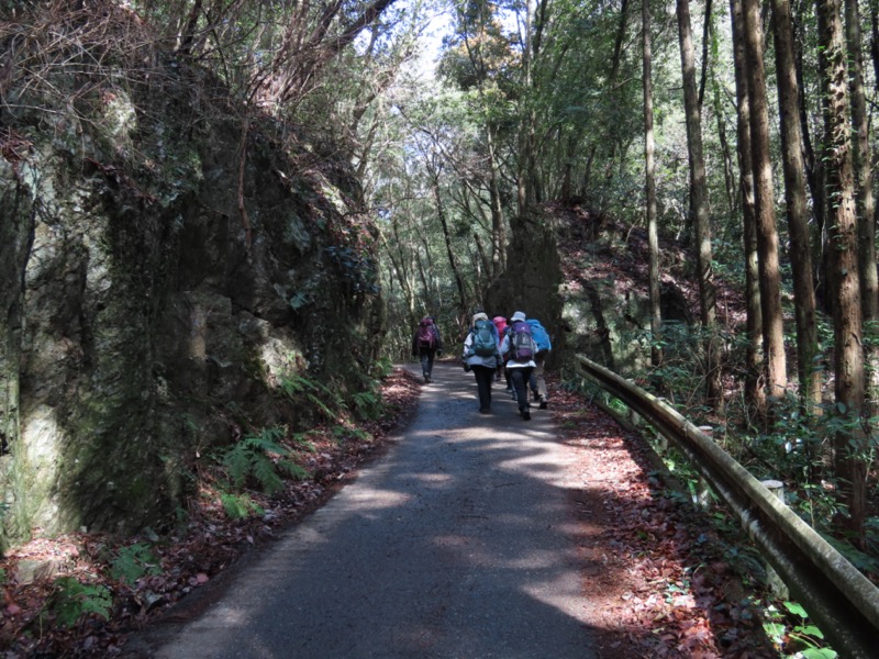 日和田山、物見山